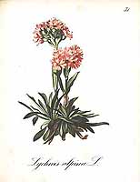  no thumbnail available