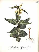  no thumbnail available