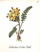  no thumbnail available