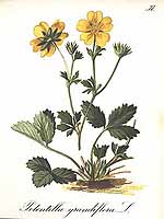  no thumbnail available