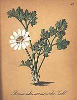  no thumbnail available