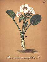  no thumbnail available