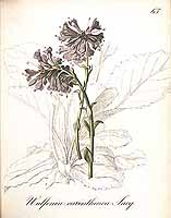  no thumbnail available