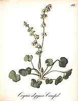  no thumbnail available