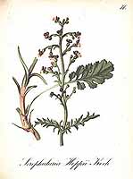  no thumbnail available