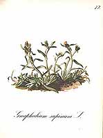  no thumbnail available