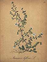  no thumbnail available