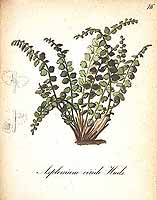  no thumbnail available