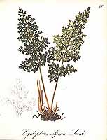  no thumbnail available