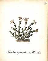  no thumbnail available