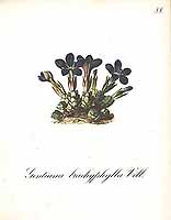  no thumbnail available