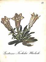  no thumbnail available