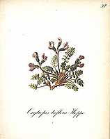  no thumbnail available