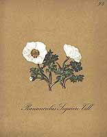  no thumbnail available