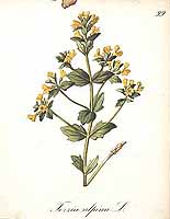  no thumbnail available