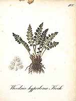  no thumbnail available