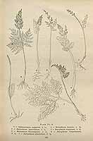  no thumbnail available