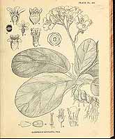  no thumbnail available