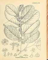  no thumbnail available