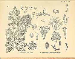  no thumbnail available