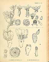  no thumbnail available