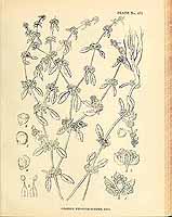  no thumbnail available