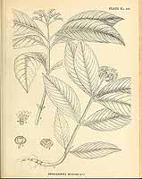  no thumbnail available