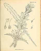  no thumbnail available