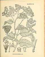  no thumbnail available