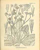  no thumbnail available