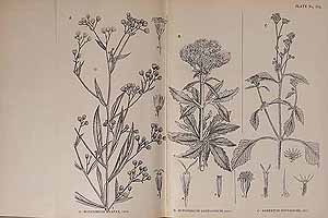  no thumbnail available