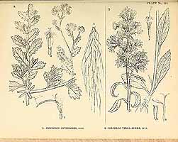  no thumbnail available