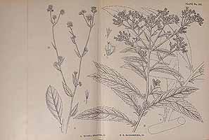  no thumbnail available