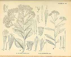  no thumbnail available