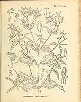  no thumbnail available