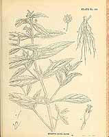  no thumbnail available