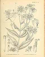  no thumbnail available