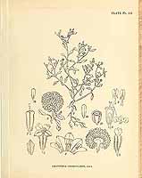  no thumbnail available