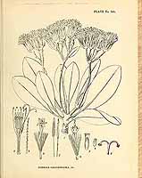  no thumbnail available