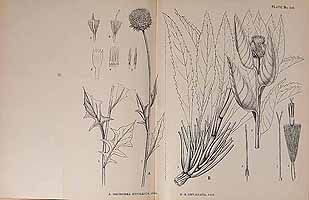  no thumbnail available