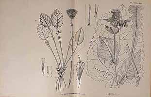  no thumbnail available