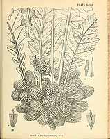  no thumbnail available