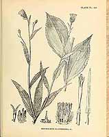  no thumbnail available