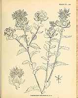  no thumbnail available