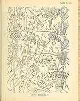  no thumbnail available