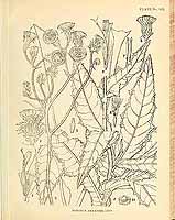  no thumbnail available