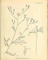  no thumbnail available