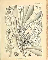  no thumbnail available