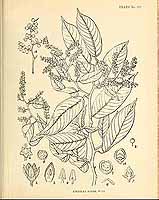  no thumbnail available