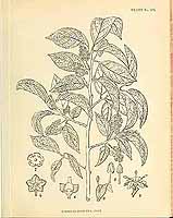  no thumbnail available